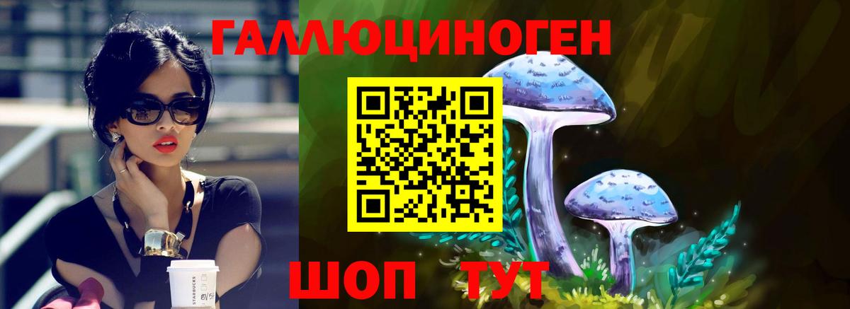 Псилоцибиновые грибы мицелий  Вход с VPN  Псилоцибиновые грибы Psilocybe  закладки  Балашиха 